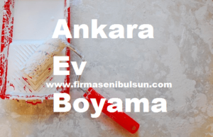 Ankara-Ev-Boyama
